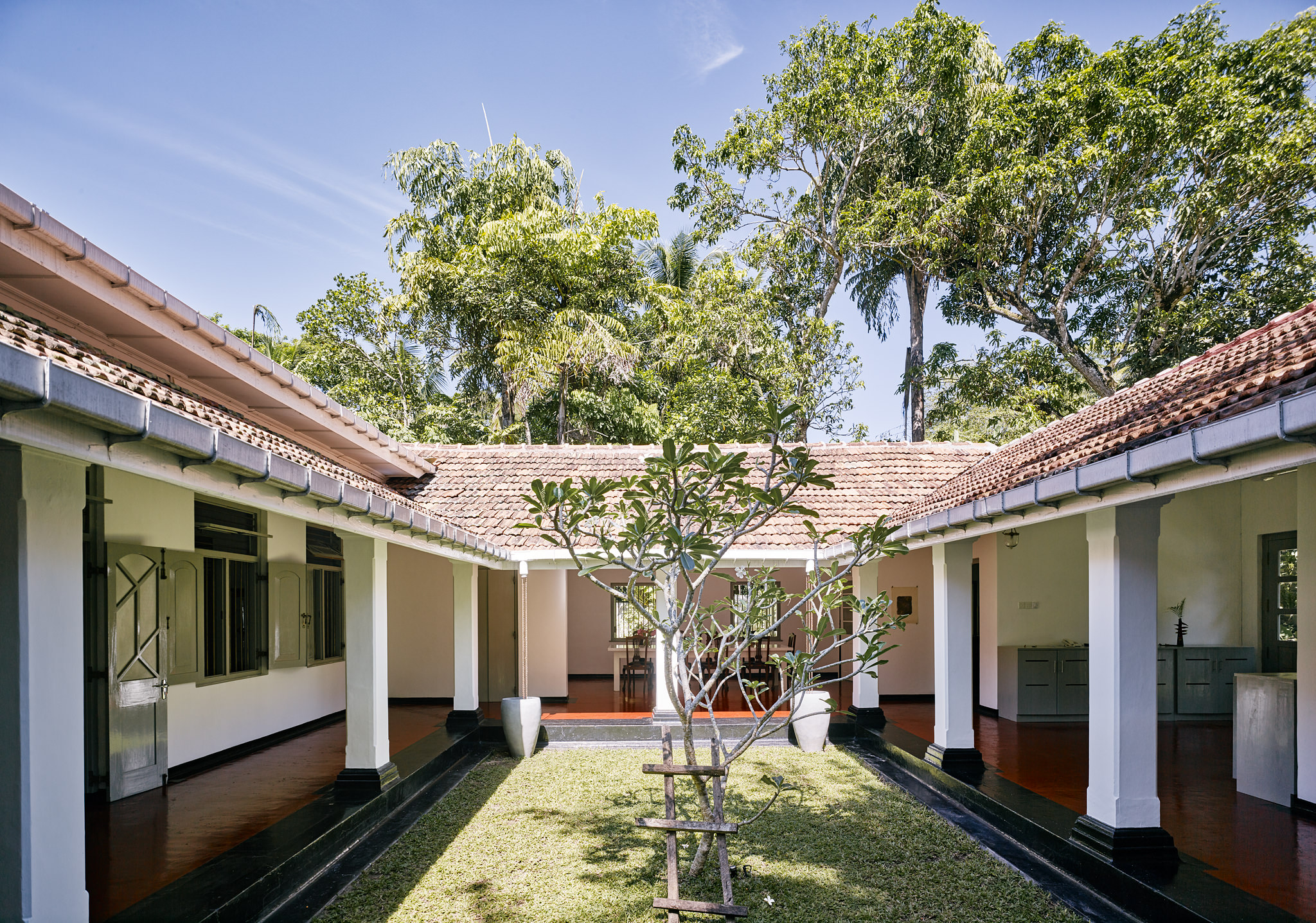 E15550 Alpa 049862p SCREEN